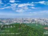 合肥伟星印湖山楼盘怎么样-价格